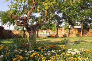 Murano Honey Garden site-specific installation