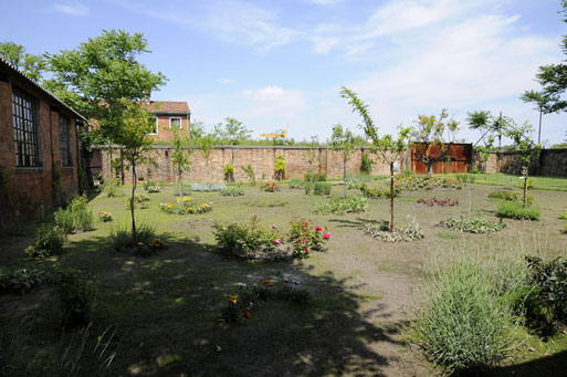 March 21, 2013, I began the Honey Garden on the grounds of the Linea Arianna glass factory in Sacca Serenella as the permanent part of my site specific installation, “Denatured: Honeybees + Murano.”