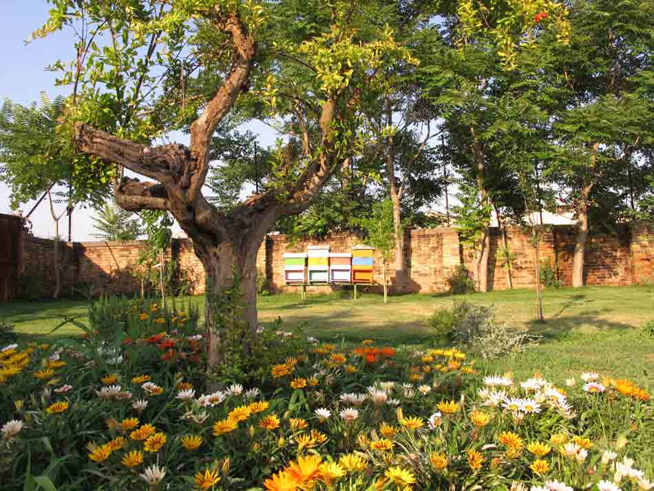 Murano Honey Garden earthworks installation, on the grounds of the Linea Arianna glass factory on the island of Sacca Serenella in Murano, Venetzia, Italia.
