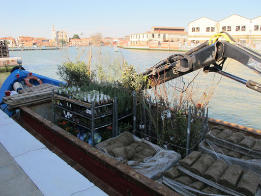 Honey Garden plants - unloading barge
