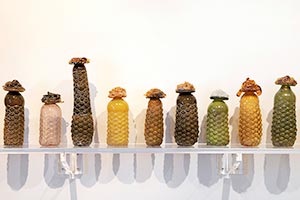 Honey Vessel - Double Line, 2013