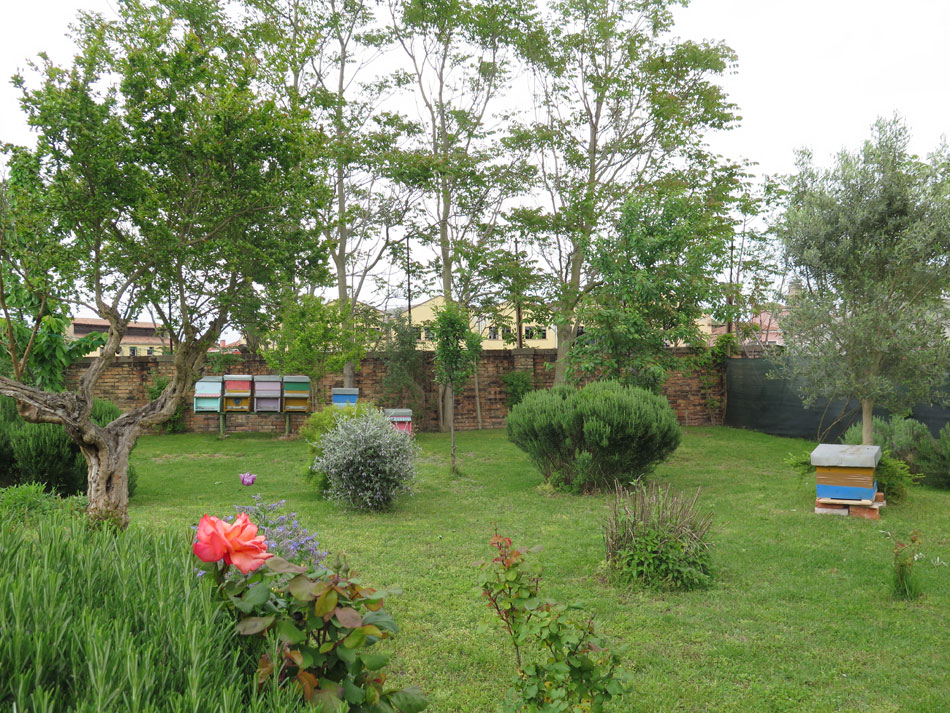 2016-Murano-Honey-Garden