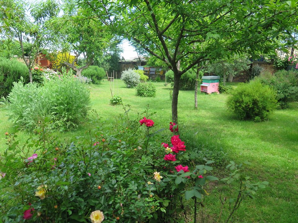 2016-Murano-Honey-Garden