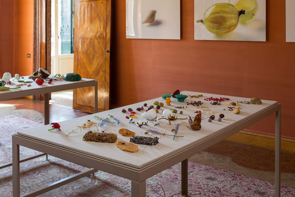 Installation view of Propagation: Bees + Seeds