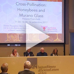 Video of honeybee conference