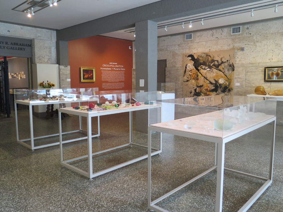 Installation view of Propagation: Bees + Seeds