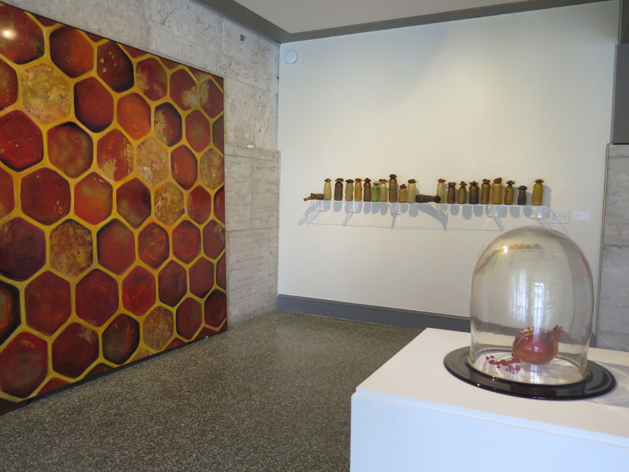 Installation view of Propagation: Bees + Seeds