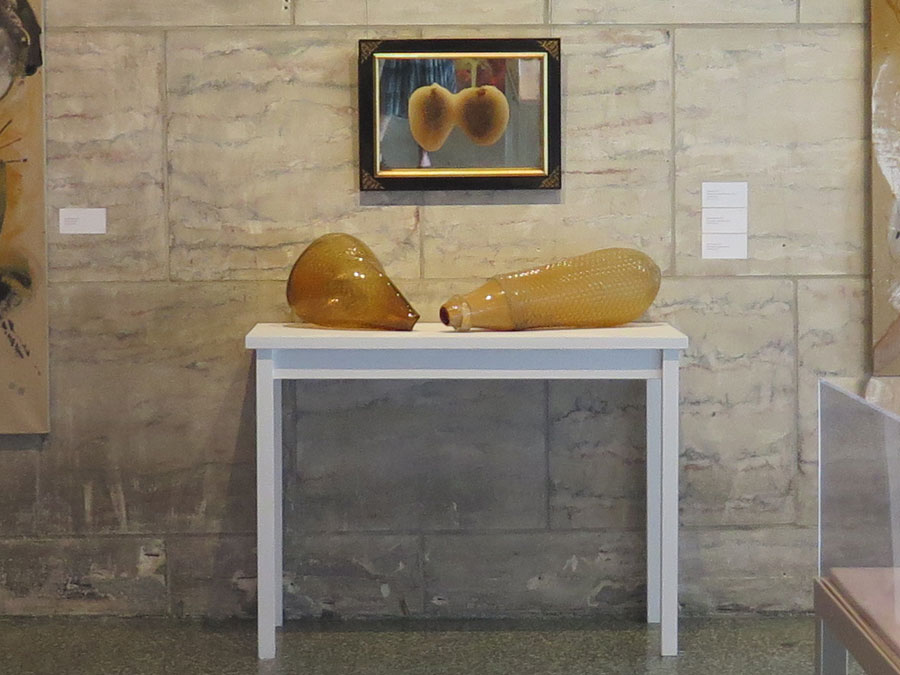 Installation view of Propagation: Bees + Seeds