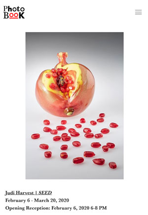 Photo Book - Judi Harvest