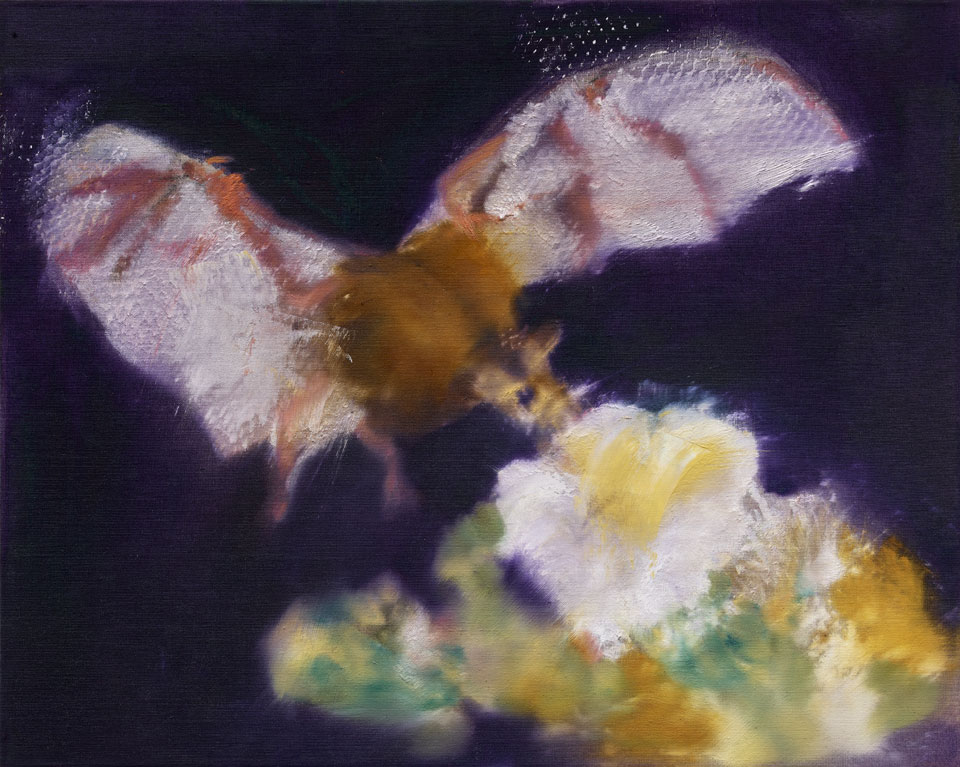 Cactus Flower + Bat, 2021