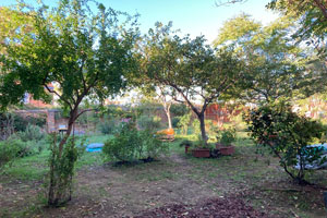 Murano Honey Garden™