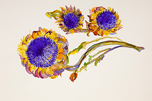 Artichoke Flowers, 2023