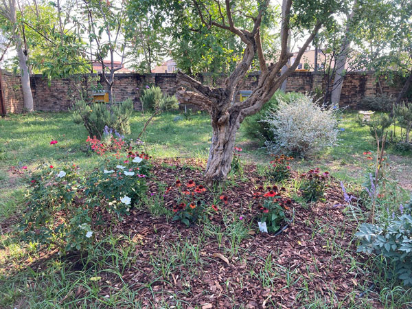 Goti De Fornassa, 2022