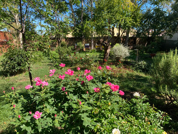 Goti De Fornassa, 2022