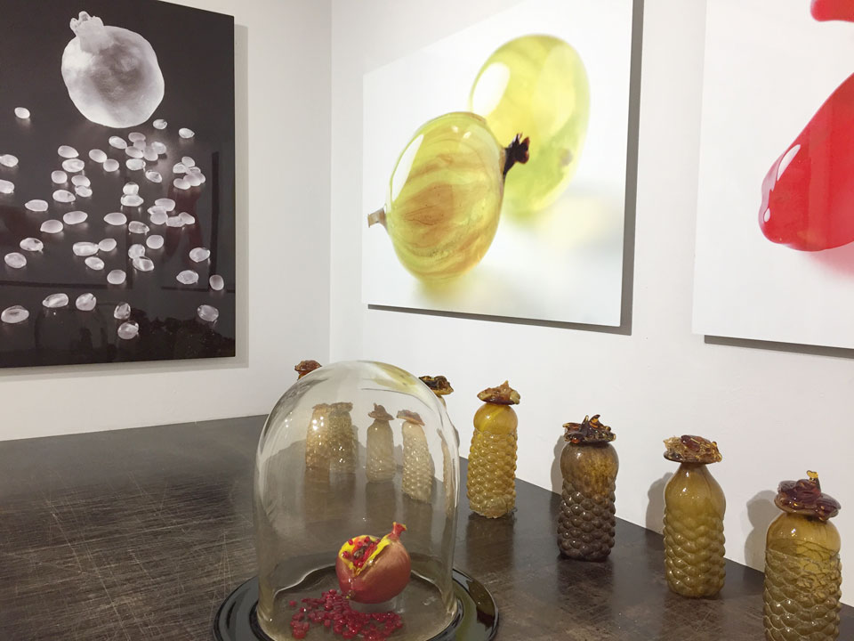 Installation view of Seeds
