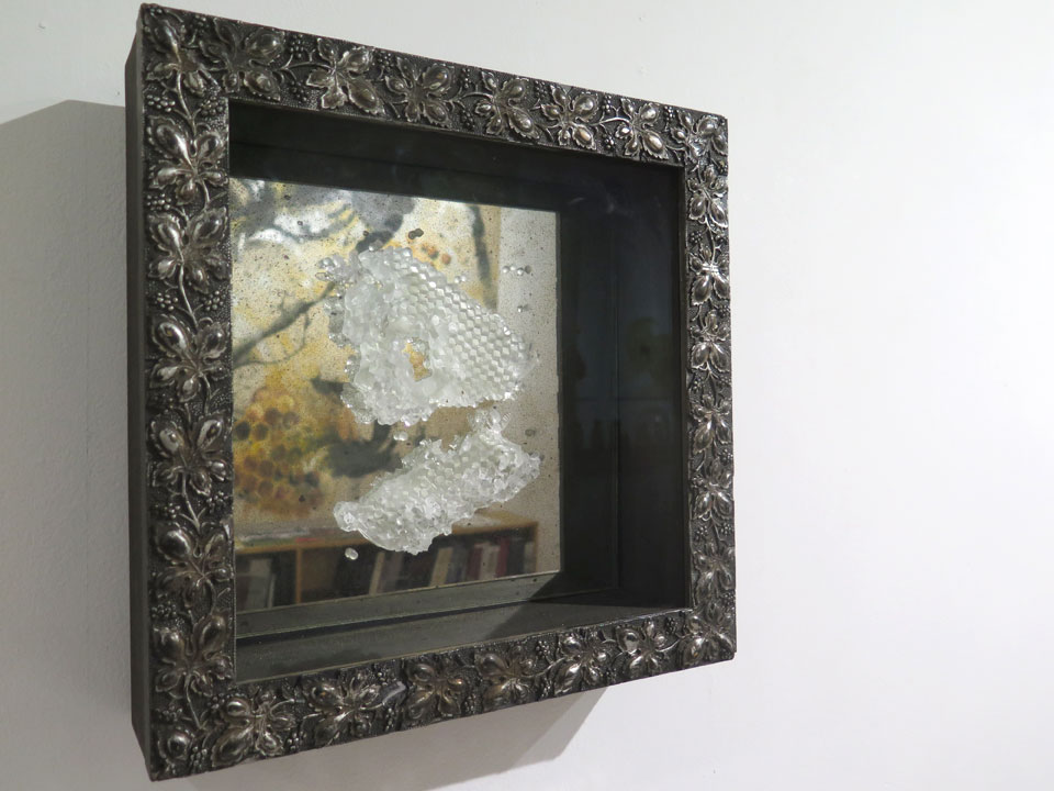 Installation view of Seeds