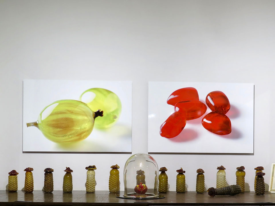 Installation view of Seeds