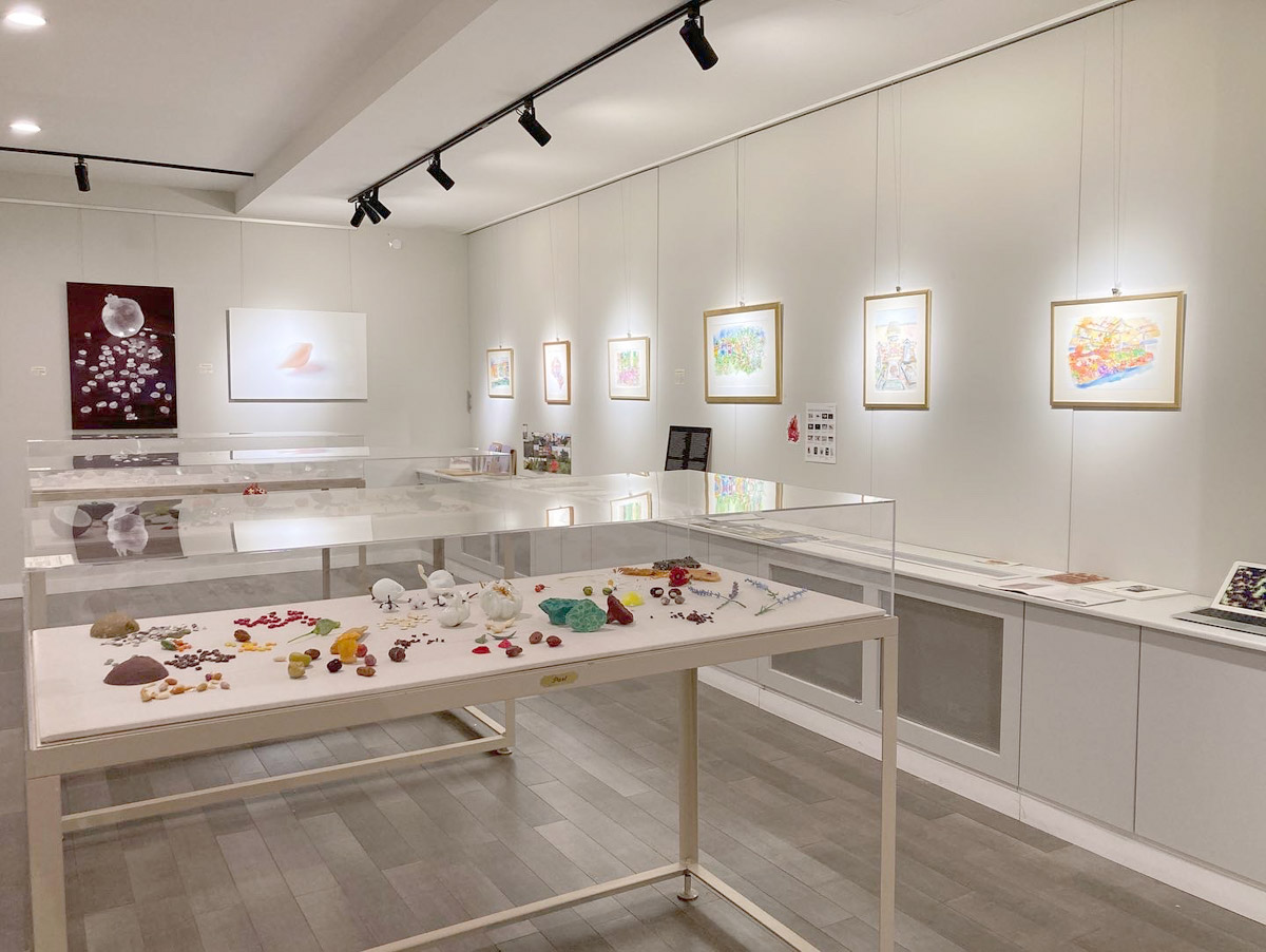 Installation view of Judi Harvest: Nature