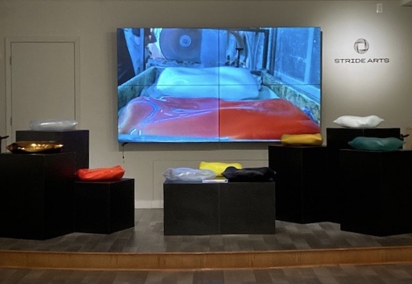 Installation view of Judi Harvest: Nature