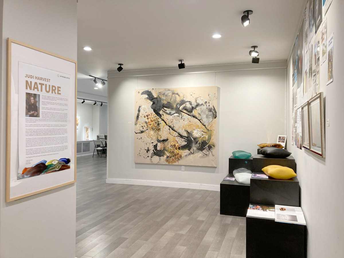 Installation view of of Judi Harvest: Nature