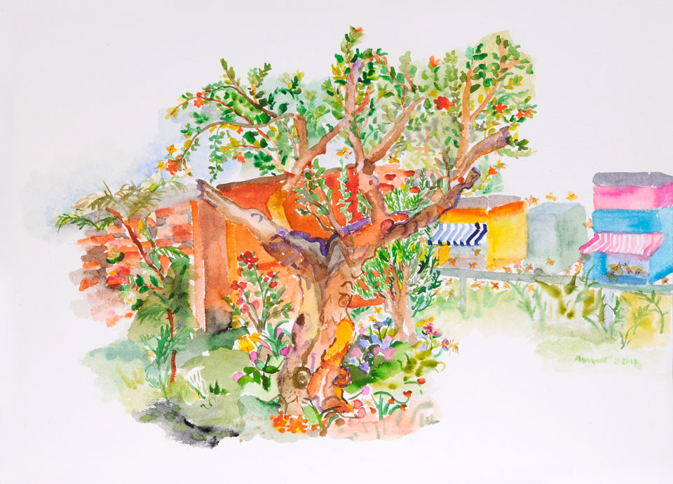 Watercolor on paper for 