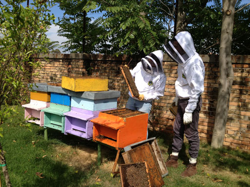 Honey Garden - beekeepers